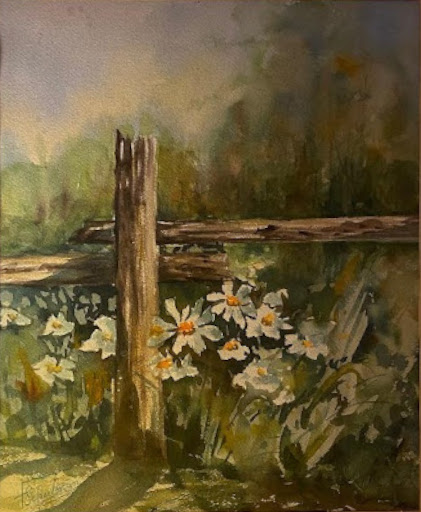 A cluster of Daisies behind a fence and leaning away from the sun,out of the fence.