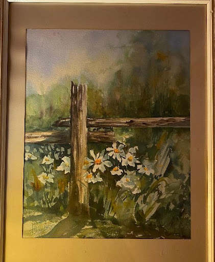 Daisies looking outward from a fence Daisies looking outward from a fence