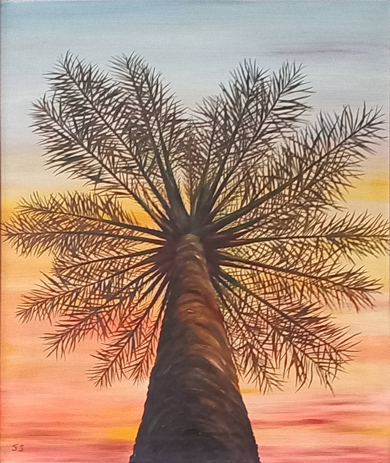 Looking upward at a palm tree.