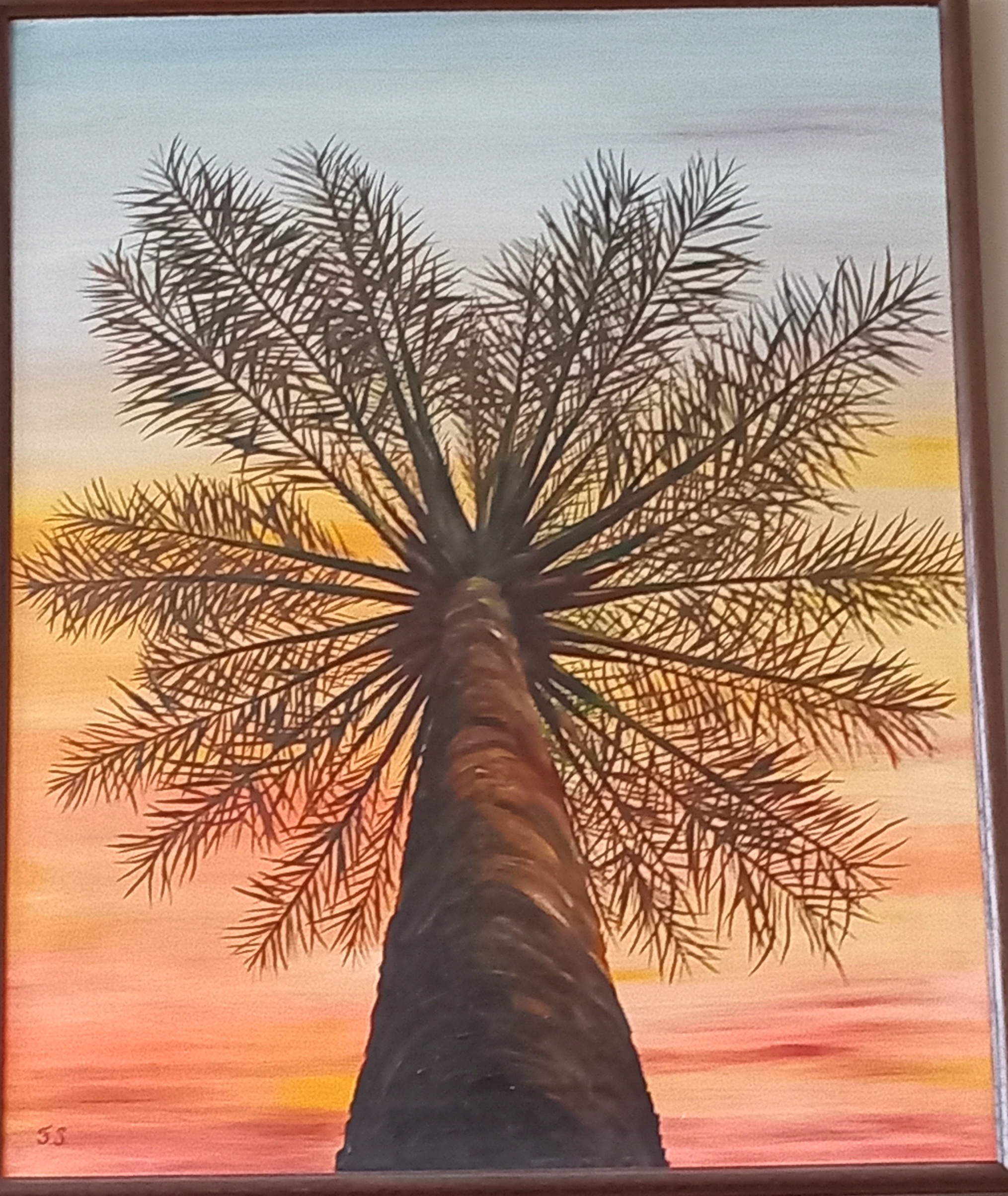 Looking Up at a Palm Tree Looking Up at a Palm Tree