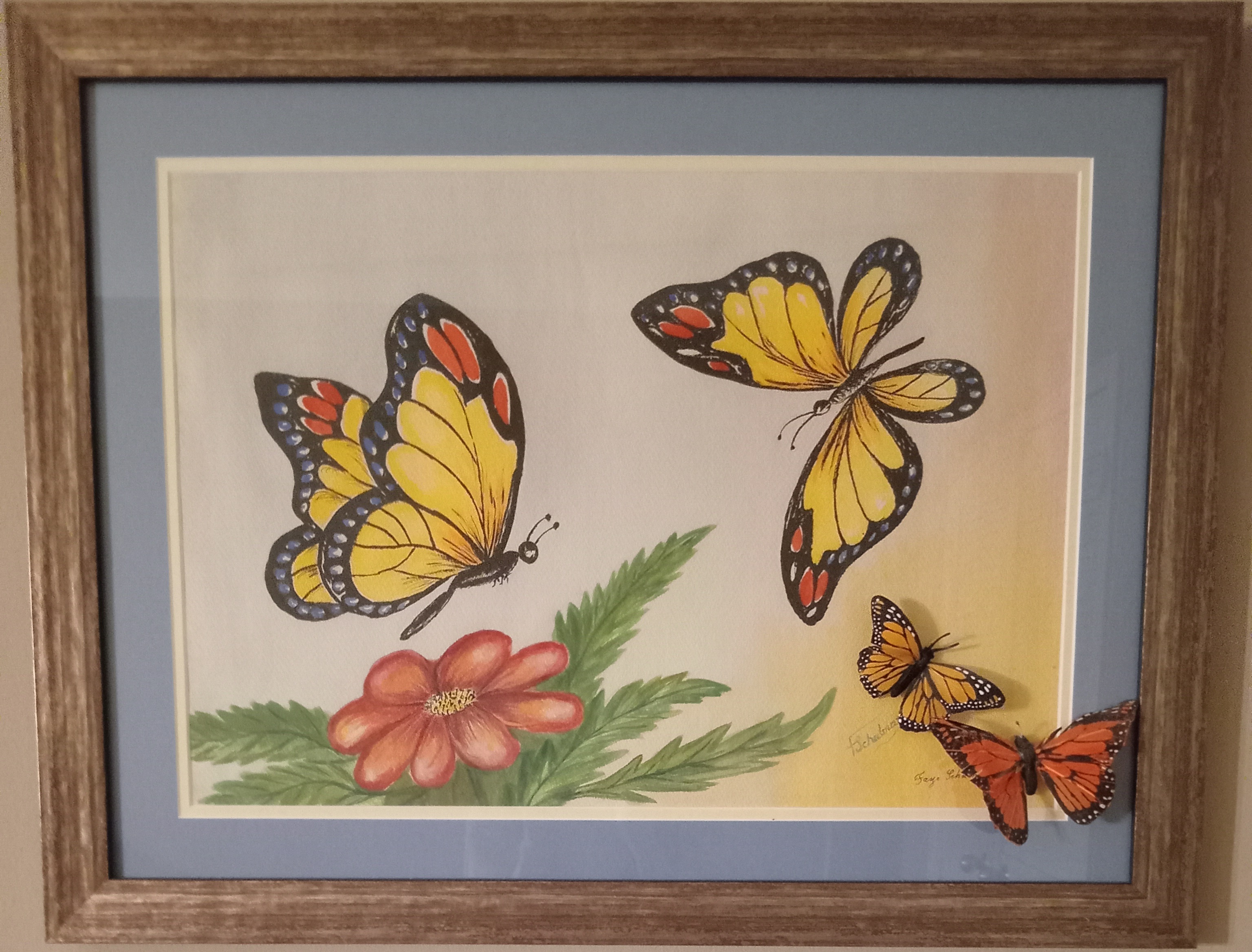 A picture of butterflies A picture of butterflies